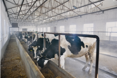 黑龍江齊齊哈爾富?？h光明乳業(yè) 一拖三加一 恒壓供水設(shè)備